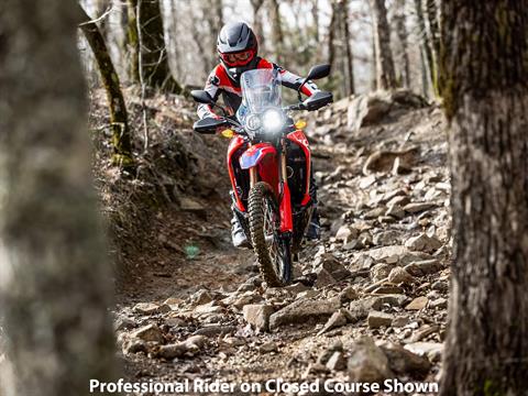 2023 Honda CRF300L Rally in Lincoln, Maine - Photo 10