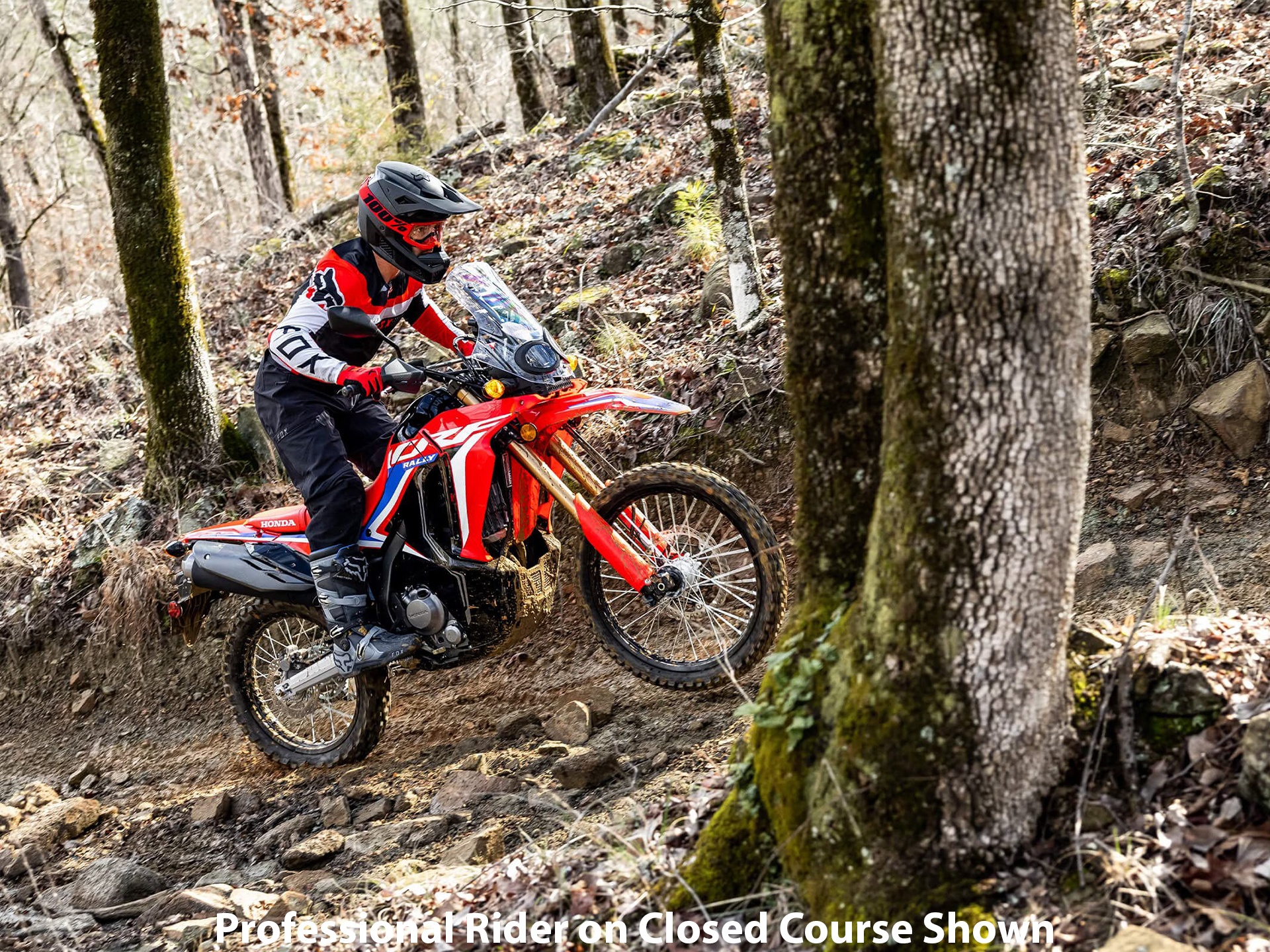2023 Honda CRF300L Rally in Cleveland, Ohio - Photo 12