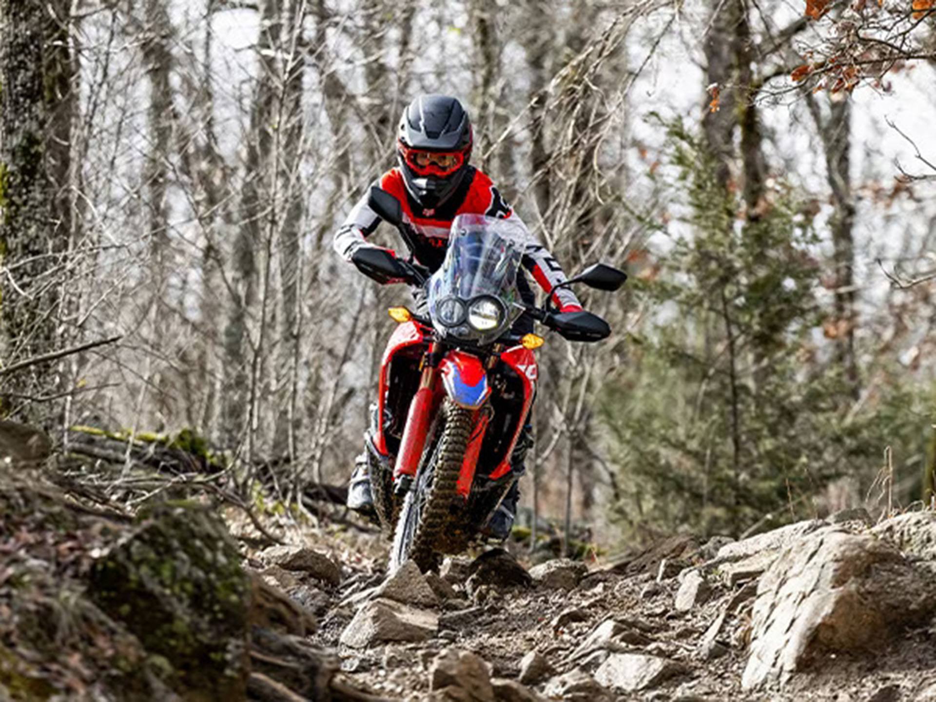 2023 Honda CRF300L Rally ABS in Lincoln, Maine - Photo 3