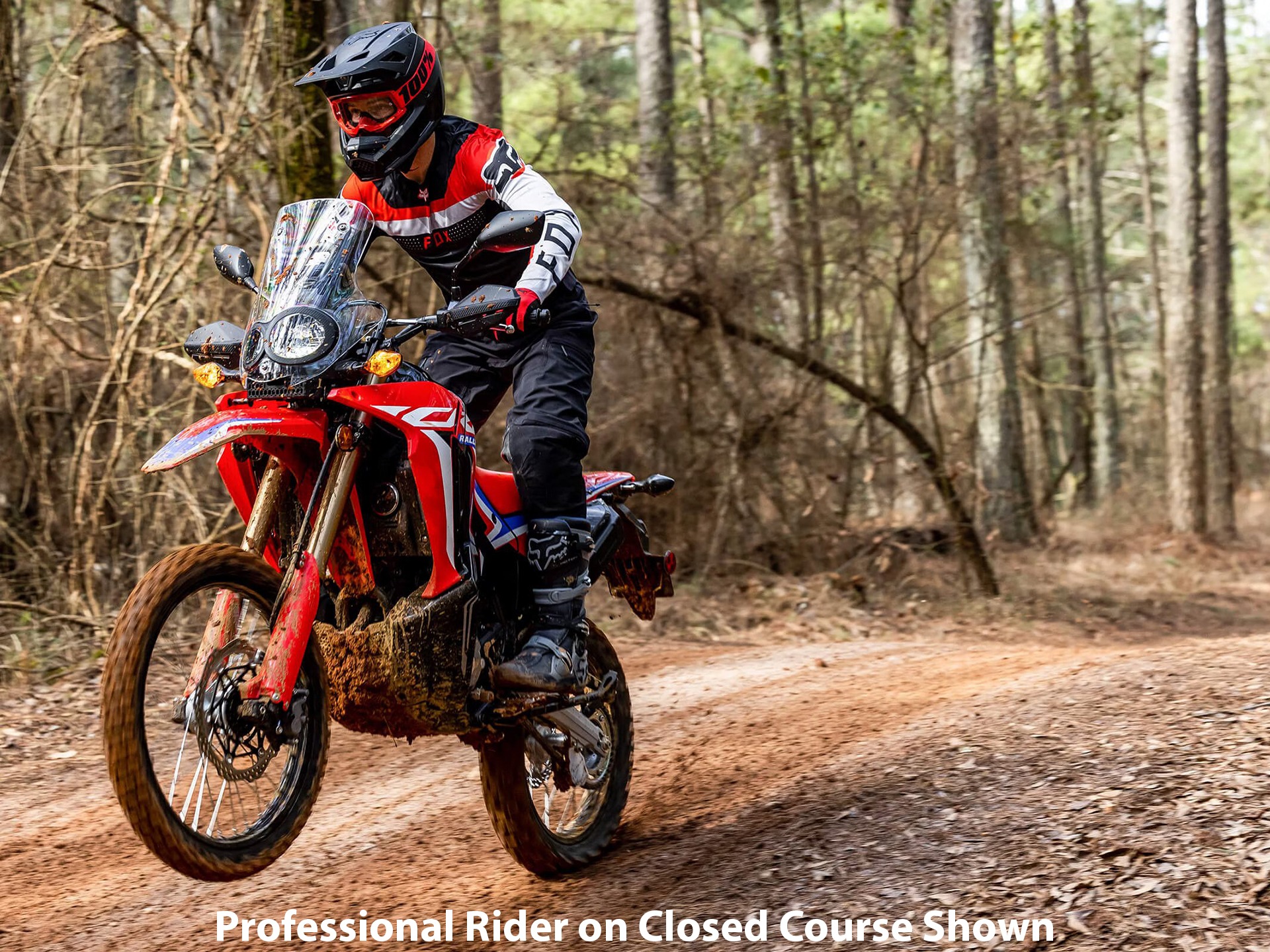 2023 Honda CRF300L Rally ABS in Starkville, Mississippi - Photo 7