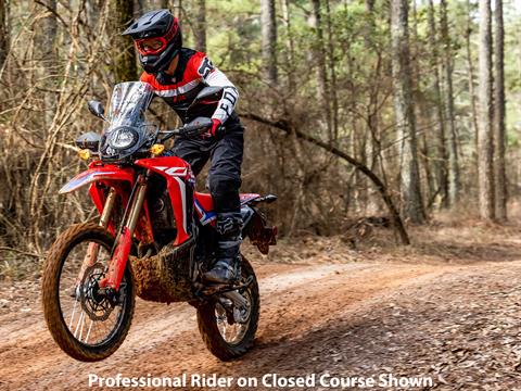 2023 Honda CRF300L Rally ABS in Sterling, Illinois - Photo 7