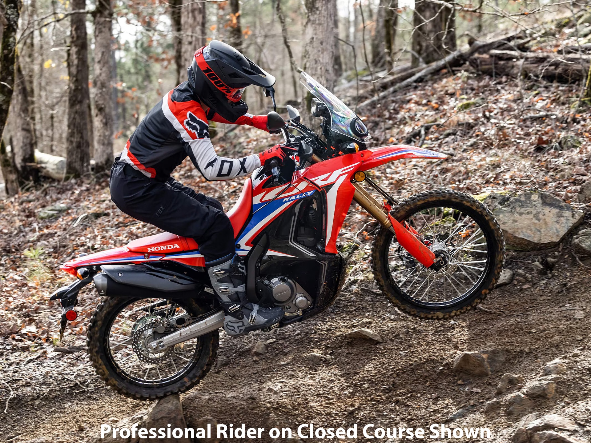 2023 Honda CRF300L Rally ABS in Chico, California - Photo 9