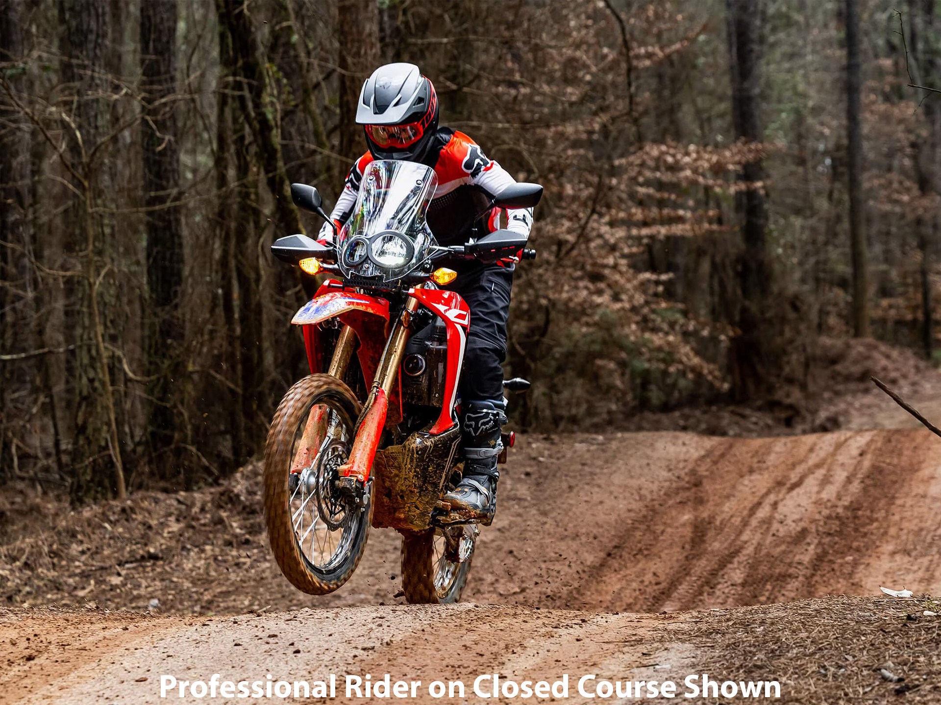 2023 Honda CRF300L Rally ABS in Crossville, Tennessee - Photo 11
