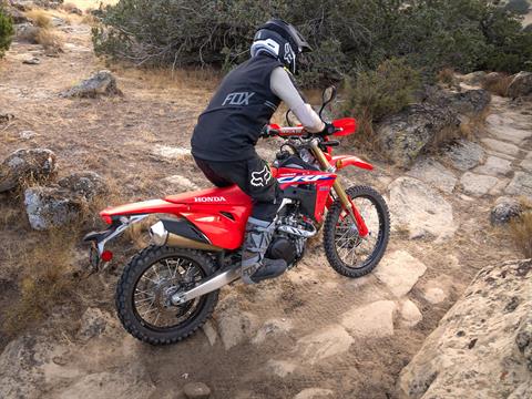 2023 Honda CRF450RL in Fayetteville, Tennessee - Photo 7