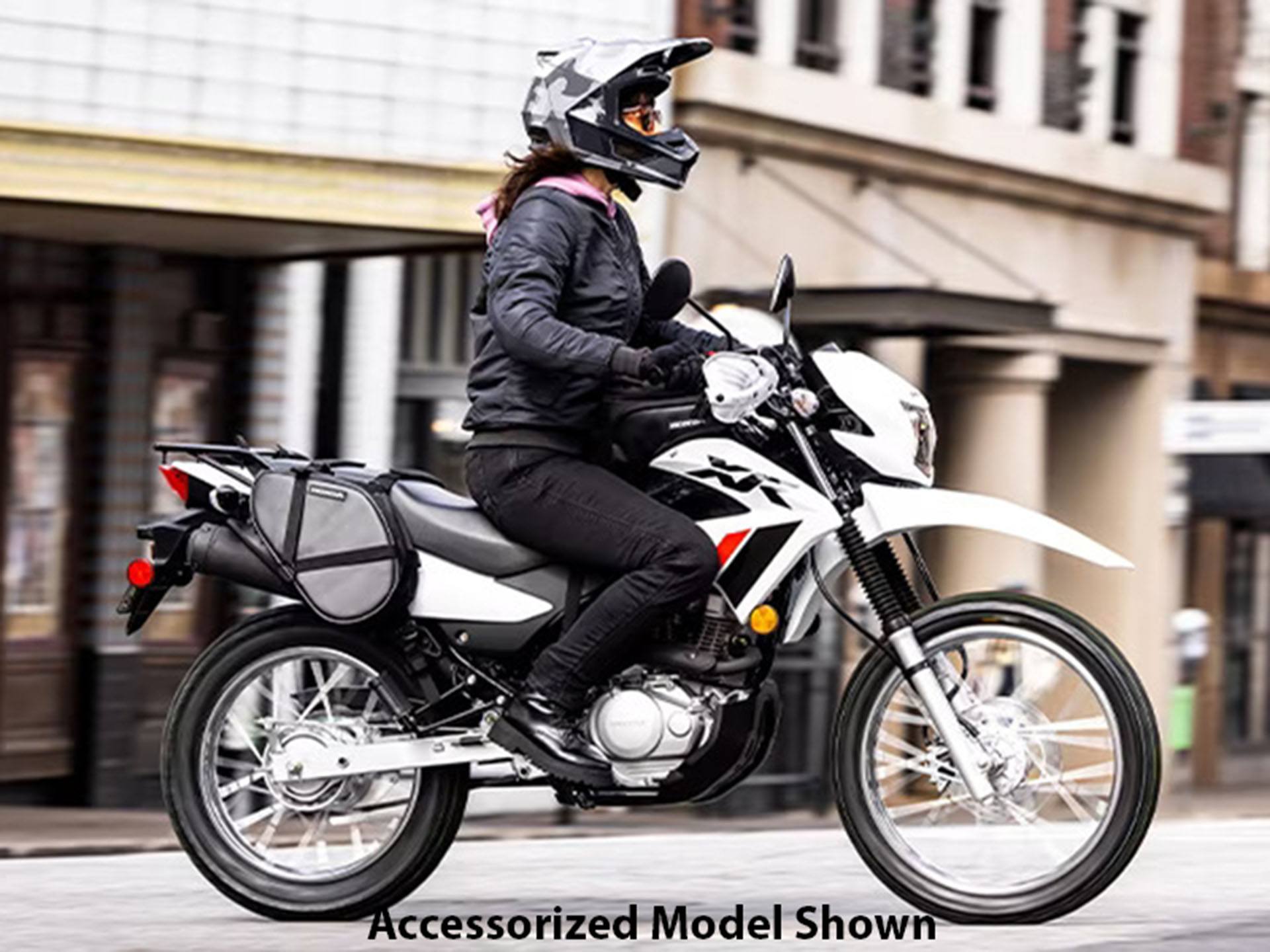 2023 Honda XR150L in New Haven, Connecticut - Photo 6