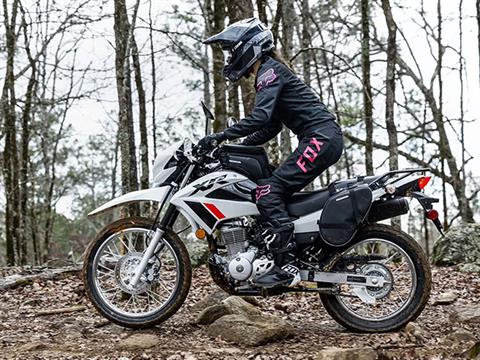 2023 Honda XR150L in Winchester, Tennessee - Photo 11