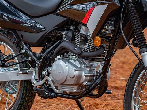 2023 Honda XR150L in Winchester, Tennessee - Photo 6