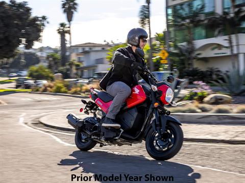 2023 Honda Navi in Petaluma, California - Photo 9
