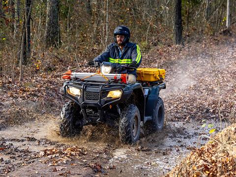 2024 Honda FourTrax Foreman 4x4 EPS in Concord, New Hampshire - Photo 10