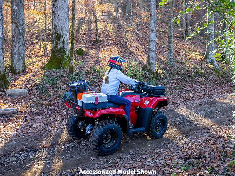 2024 Honda FourTrax Rancher 4x4 Automatic DCT EPS in Amarillo, Texas - Photo 14