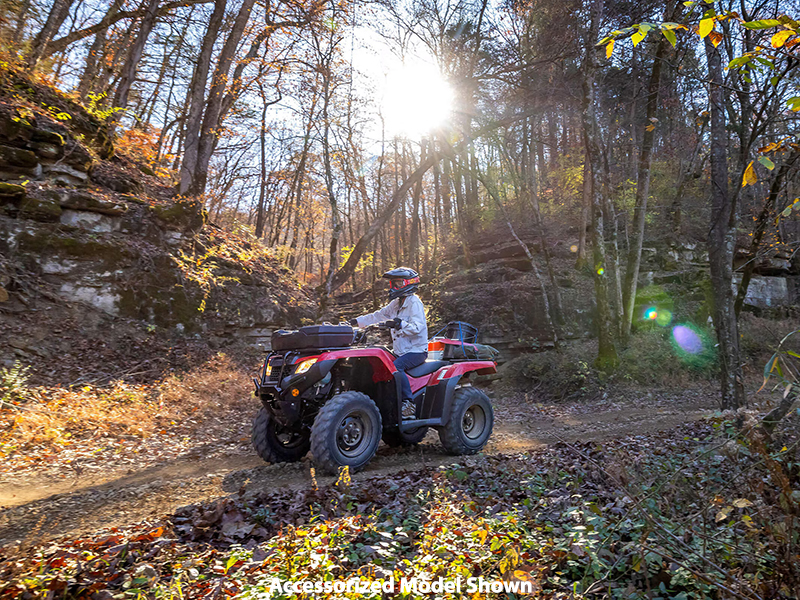 2024 Honda FourTrax Rancher 4x4 Automatic DCT IRS EPS in Newnan, Georgia - Photo 10