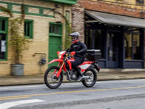 2024 Honda CRF300L in Lincoln, Maine - Photo 6