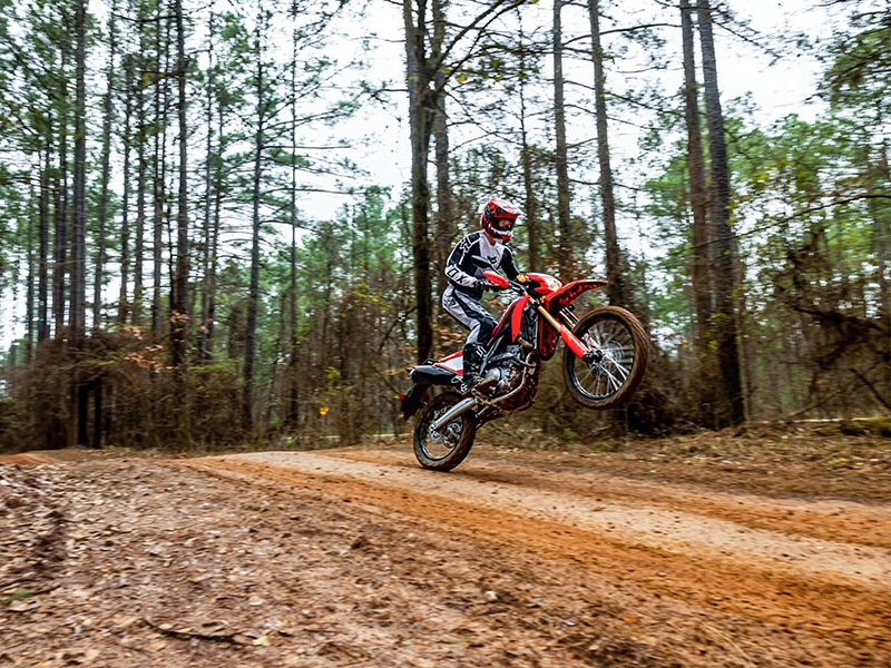 2024 Honda CRF300L in Crossville, Tennessee - Photo 8