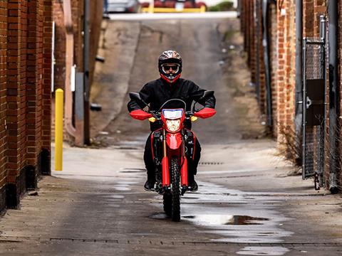 2024 Honda CRF300L in Lincoln, Maine - Photo 9
