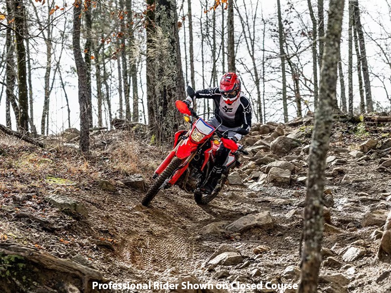 2024 Honda CRF300L in Lincoln, Maine - Photo 10