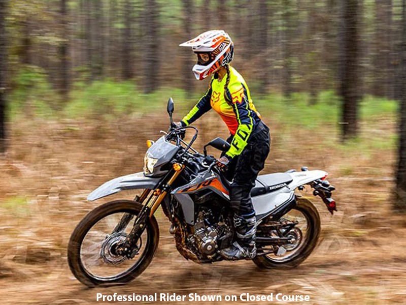 2024 Honda CRF300LS in Lincoln, Maine - Photo 4
