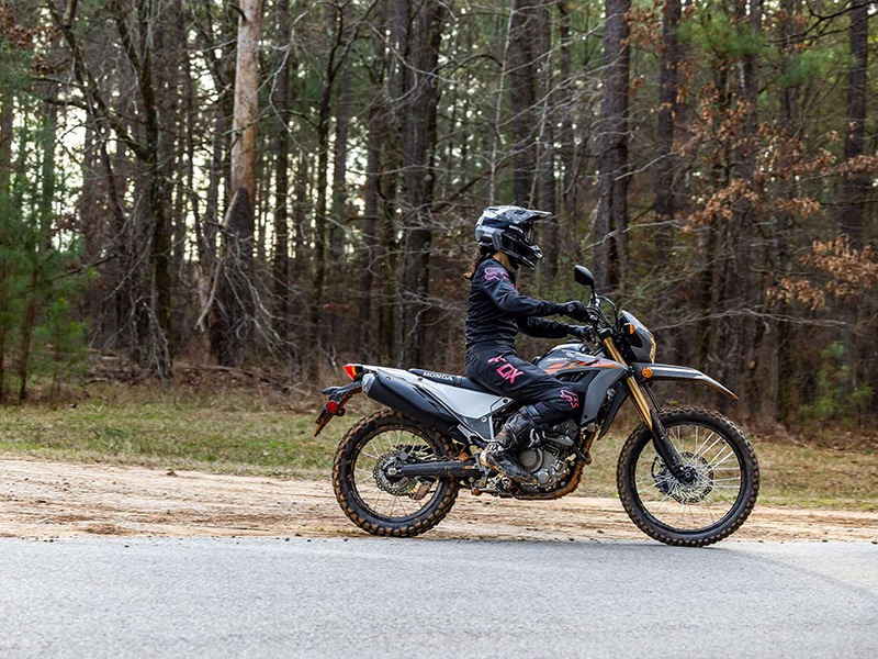 2024 Honda CRF300LS in Crossville, Tennessee - Photo 5