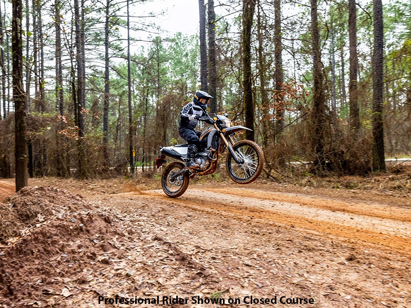 2024 Honda CRF300LS in Albemarle, North Carolina - Photo 8