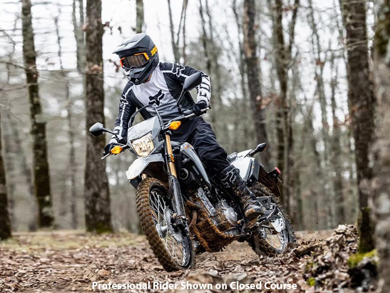 2024 Honda CRF300LS in Lincoln, Maine - Photo 10