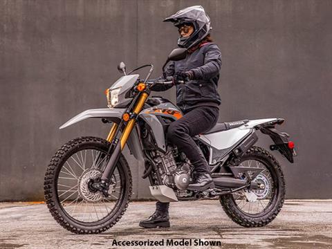 2024 Honda CRF300LS in Lincoln, Maine - Photo 12