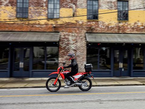 2024 Honda CRF300L ABS in New Martinsville, West Virginia - Photo 7