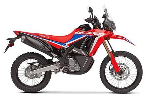 2024 Honda CRF300L Rally in Winchester, Tennessee