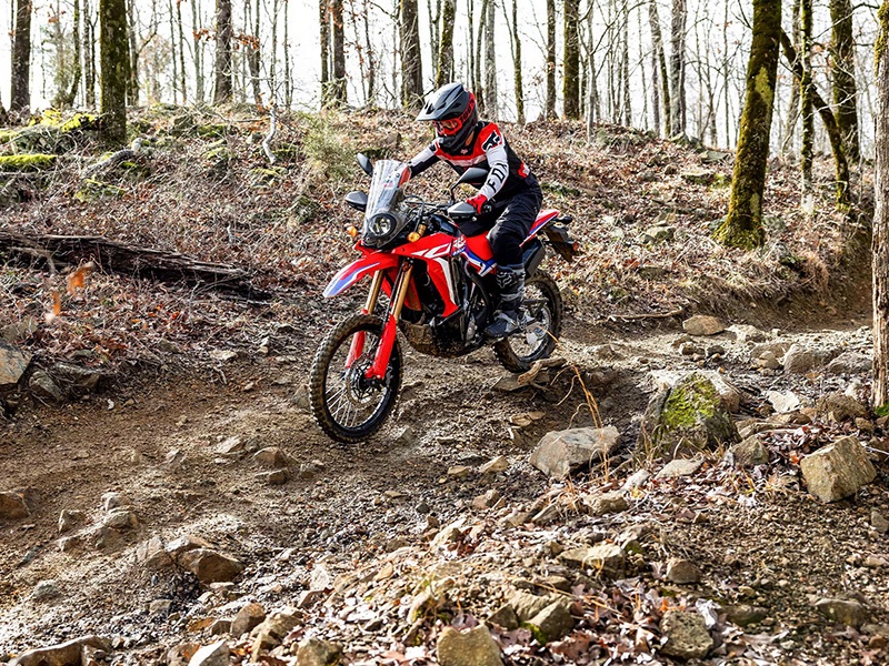 2024 Honda CRF300L Rally in New Martinsville, West Virginia - Photo 6