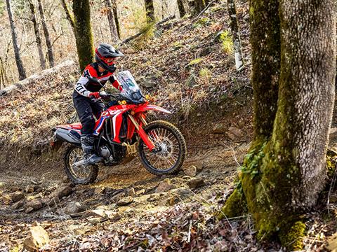 2024 Honda CRF300L Rally in Lincoln, Maine - Photo 7