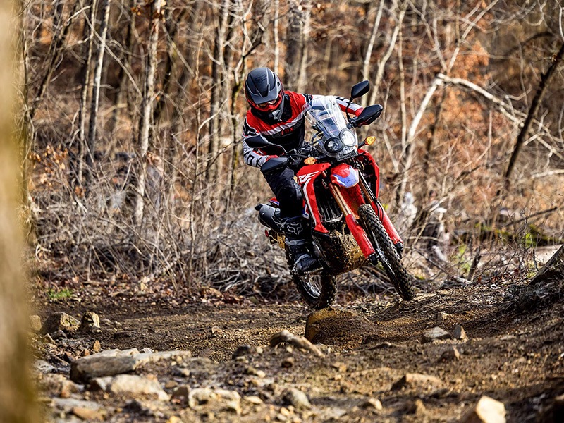 2024 Honda CRF300L Rally in Lincoln, Maine - Photo 8