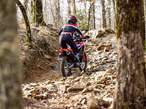2024 Honda CRF300L Rally in New Martinsville, West Virginia - Photo 9