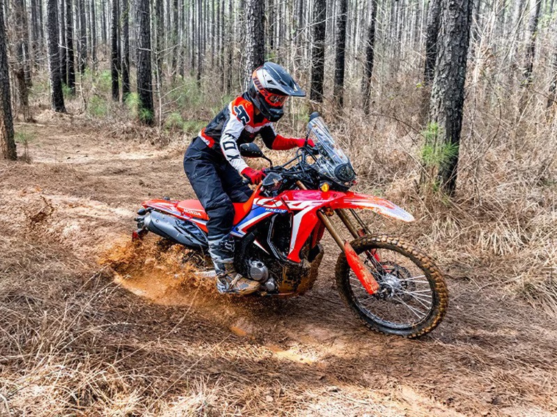 2024 Honda CRF300L Rally in Gulfport, Mississippi - Photo 11