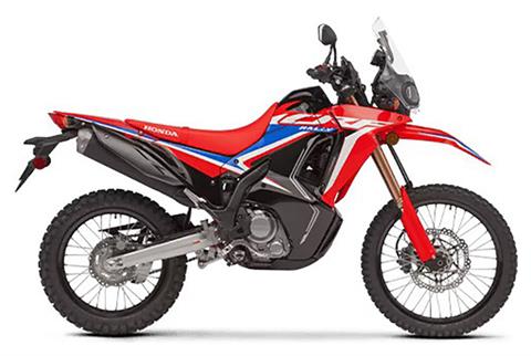 2024 Honda CRF300L Rally ABS in Pikeville, Kentucky