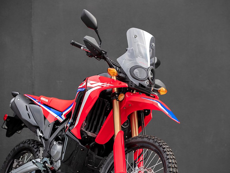 2024 Honda CRF300L Rally ABS in Fremont, California - Photo 4