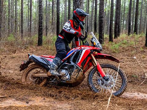 2024 Honda CRF300L Rally ABS in Crossville, Tennessee - Photo 5