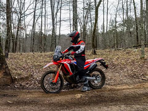 2024 Honda CRF300L Rally ABS in New Haven, Connecticut - Photo 12