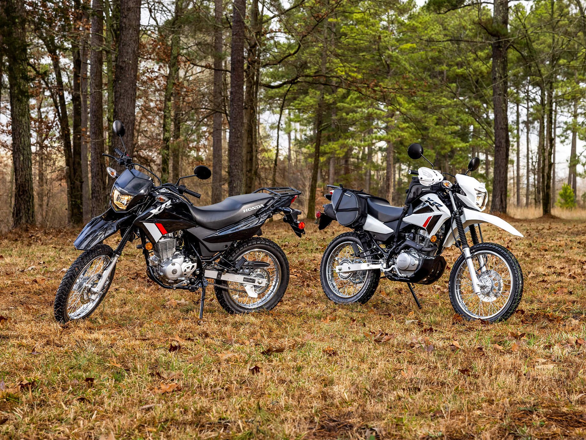 2024 Honda XR150L in Wake Forest, North Carolina - Photo 3