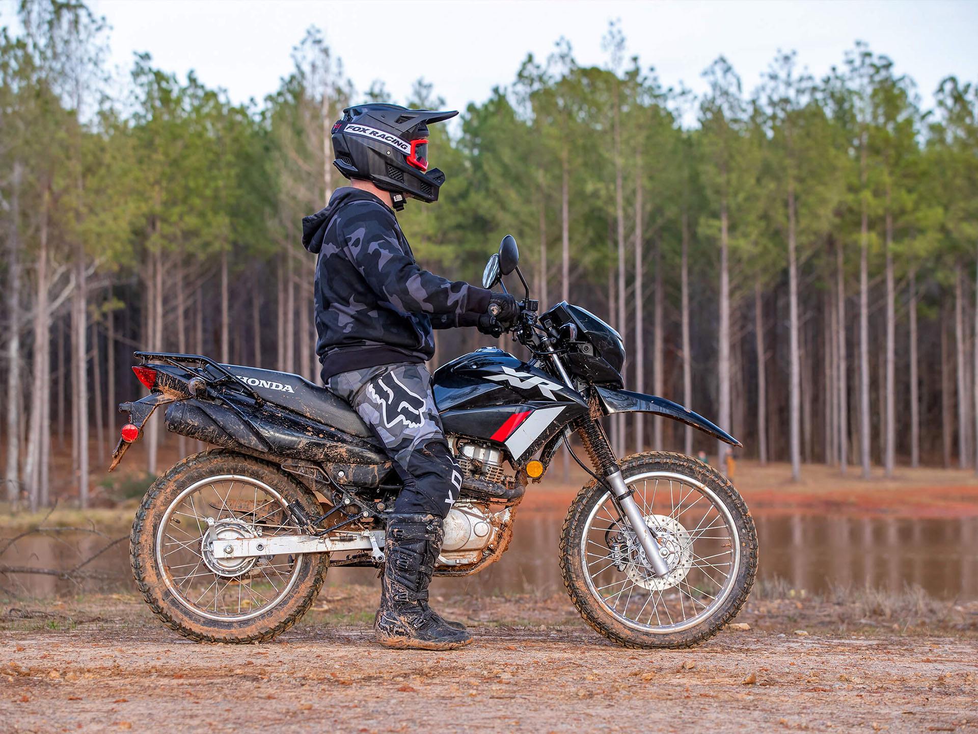 2024 Honda XR150L in Wake Forest, North Carolina - Photo 6