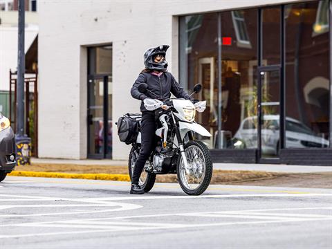 2024 Honda XR150L in New Haven, Connecticut - Photo 2