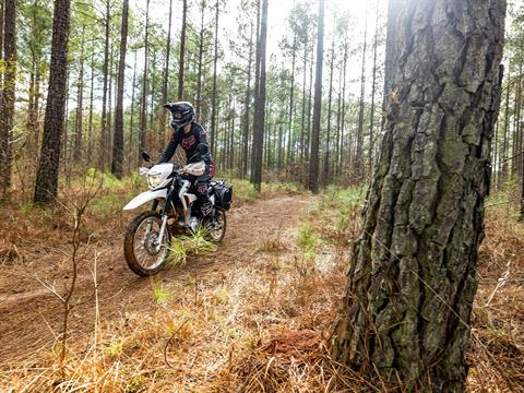 2024 Honda XR150L in Wake Forest, North Carolina - Photo 7