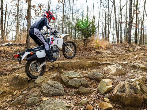 2024 Honda XR650L in New Haven, Connecticut - Photo 6