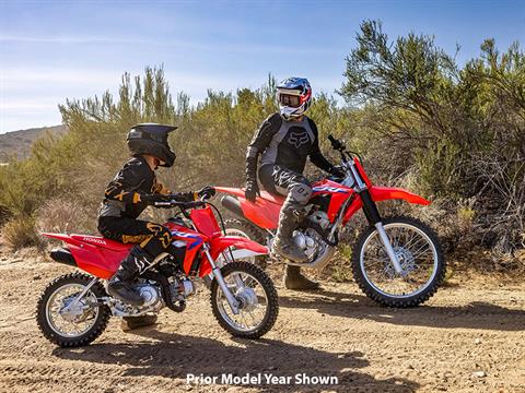 2024 Honda CRF110F in Crossville, Tennessee - Photo 11