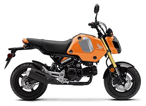 2024 Honda Grom in New Haven, Connecticut
