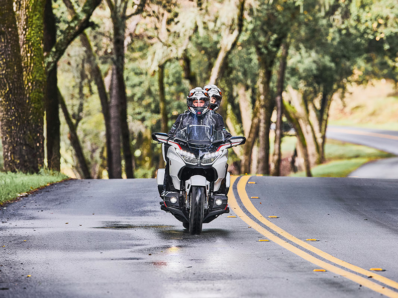 2024 Honda Gold Wing Tour Airbag Automatic DCT in Hendersonville, North Carolina - Photo 11