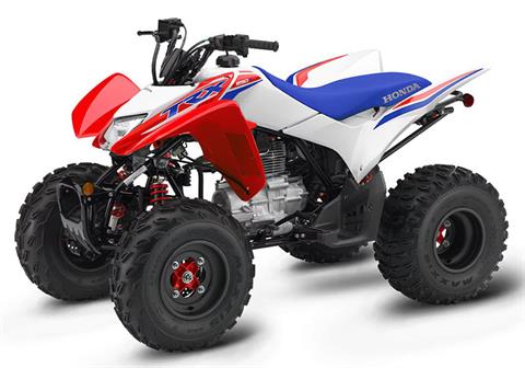 2025 Honda TRX250X in Wichita Falls, Texas