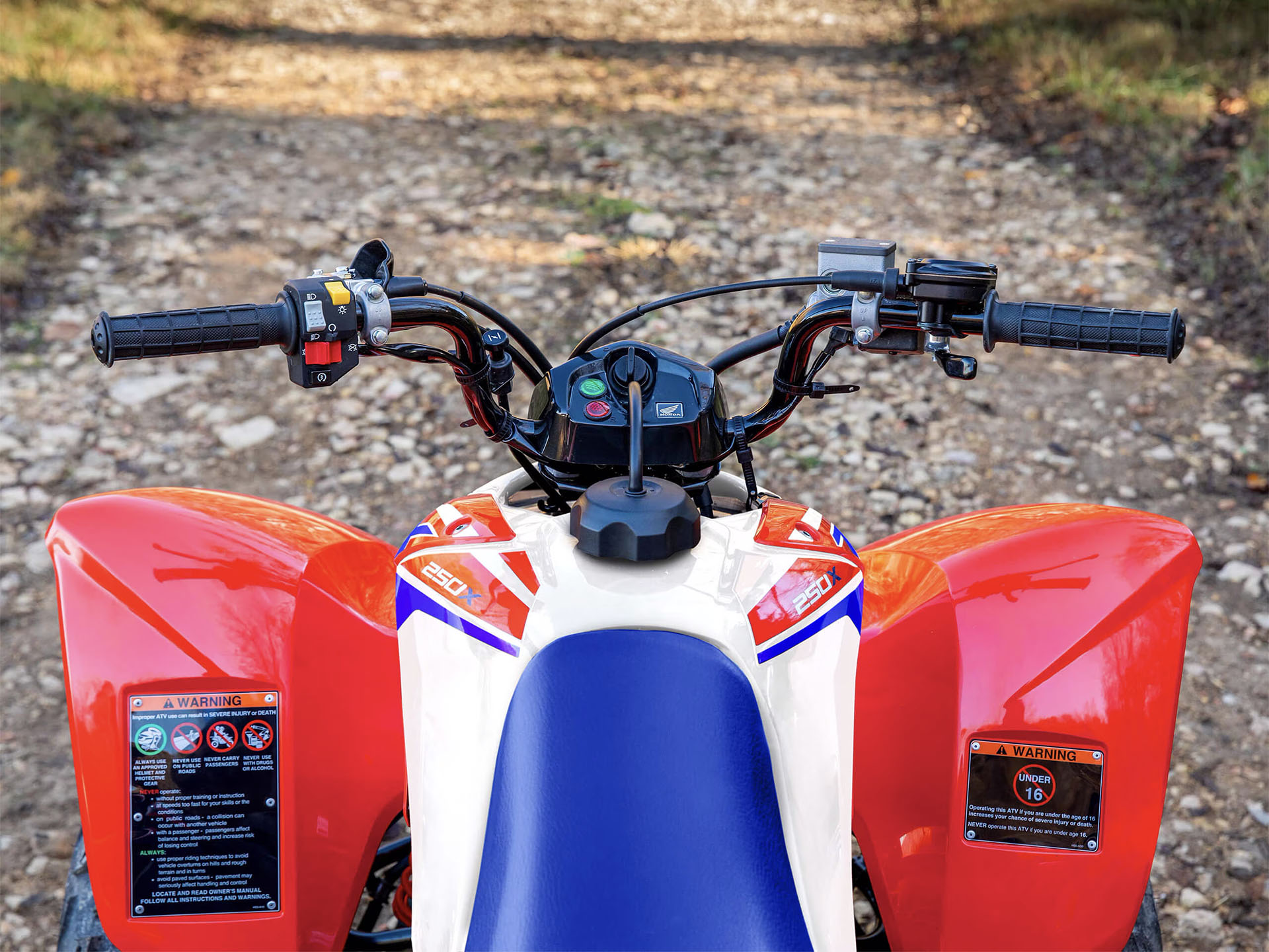 2025 Honda TRX250X in Medford, Oregon - Photo 2