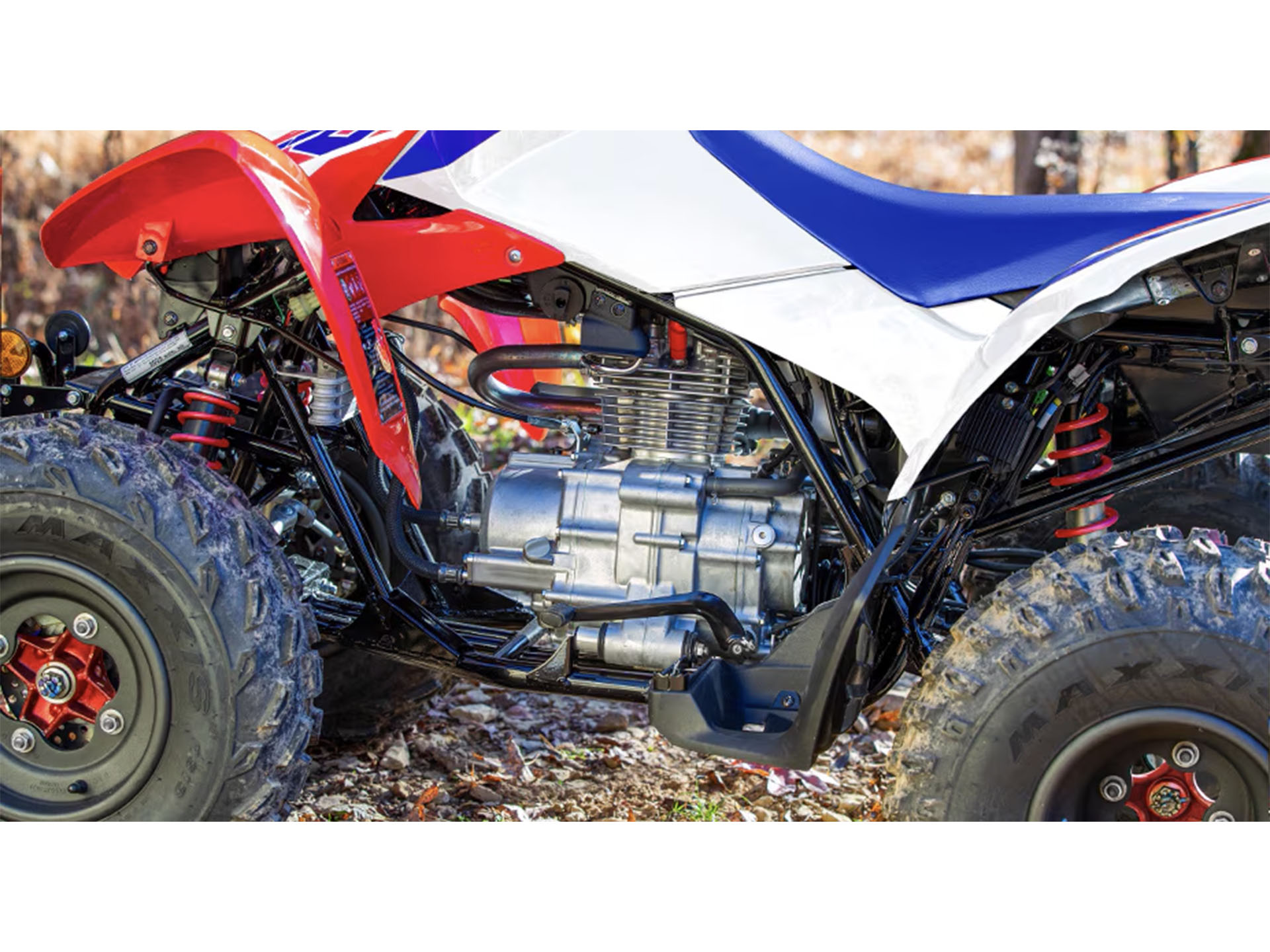 2025 Honda TRX250X in Medford, Oregon - Photo 3