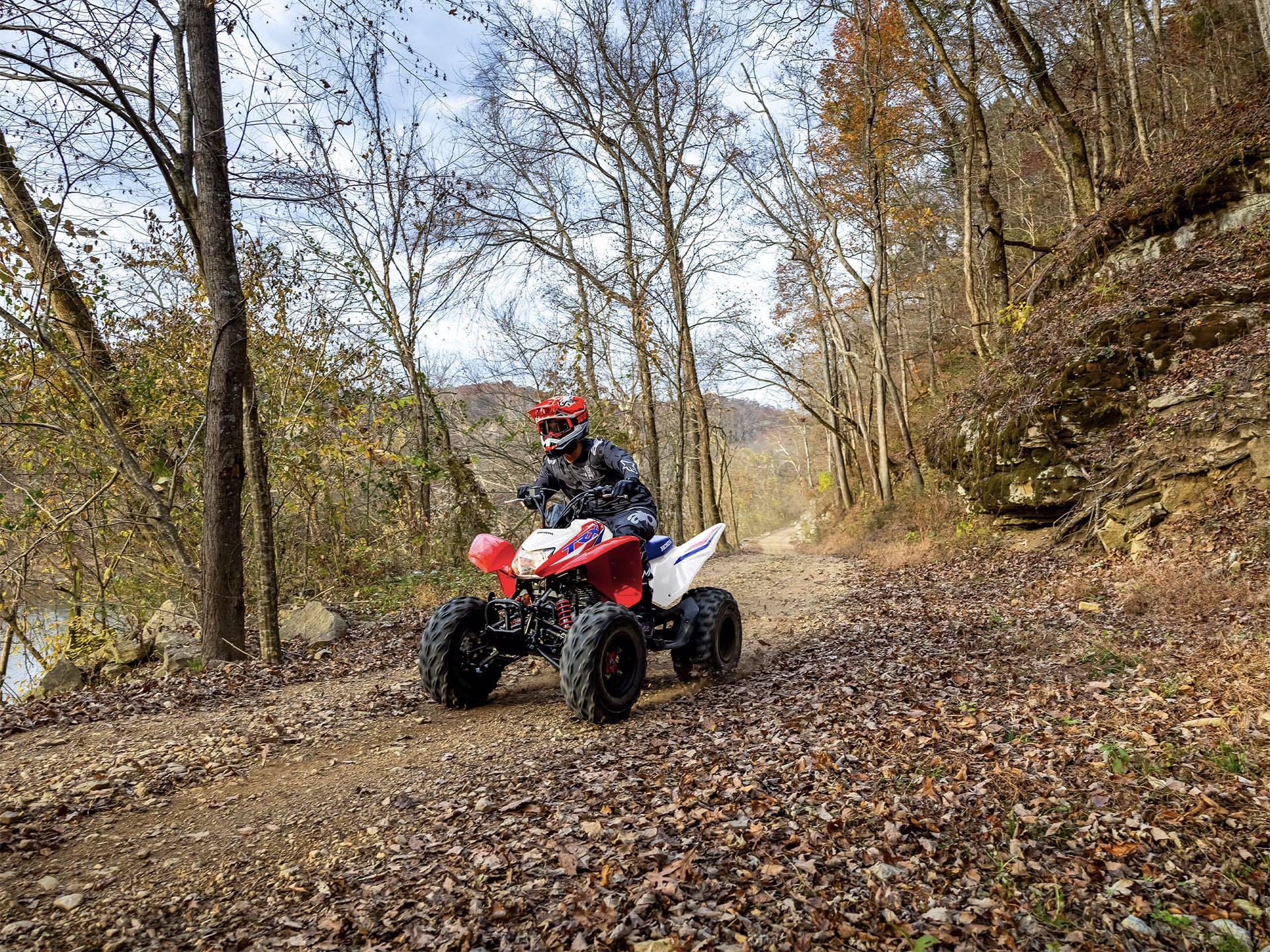 2025 Honda TRX250X in Wichita Falls, Texas - Photo 7