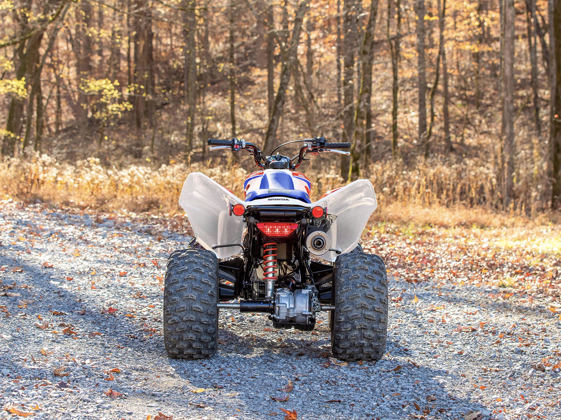 2025 Honda TRX250X in Wichita Falls, Texas - Photo 8