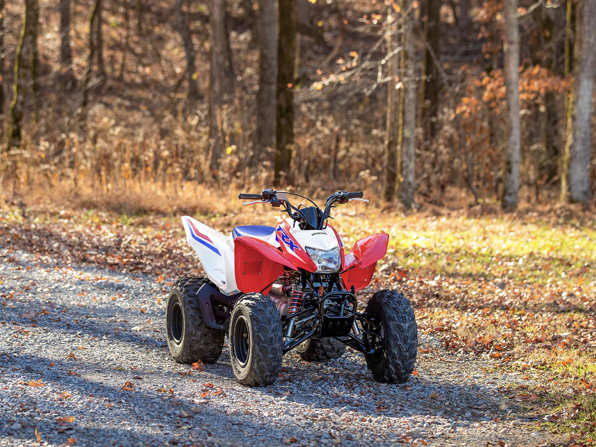 2025 Honda TRX250X in Medford, Oregon - Photo 9