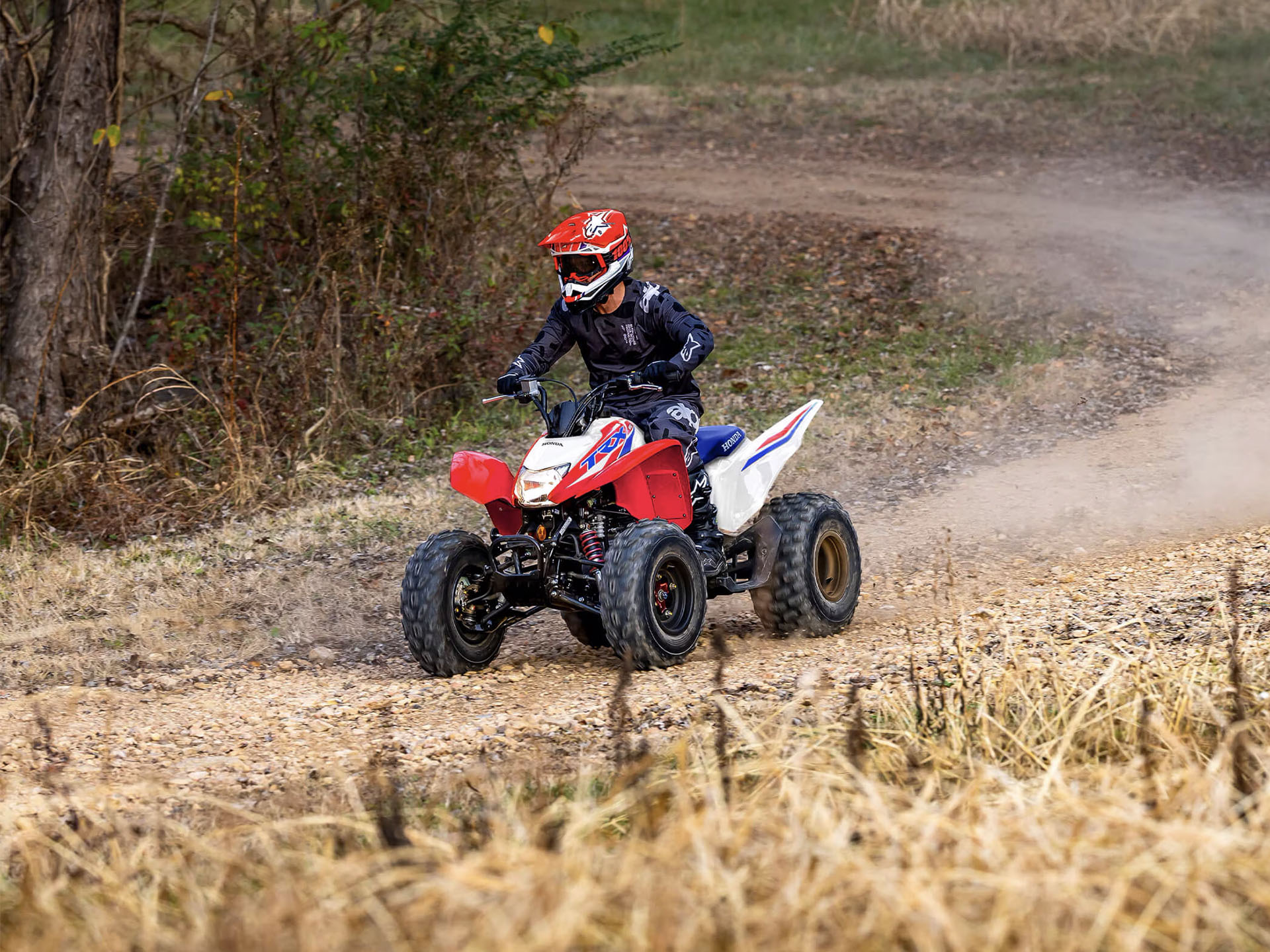 2025 Honda TRX250X in Wichita Falls, Texas - Photo 10